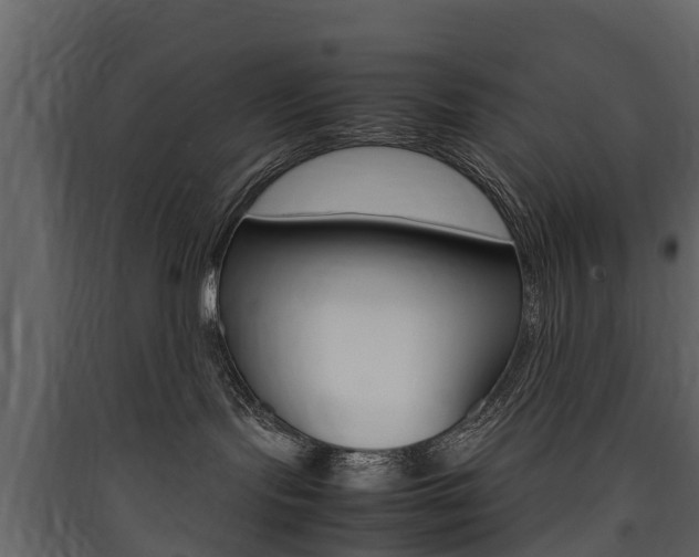 X0000090410095200707130934