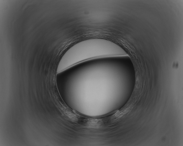X0000090410096200707130934