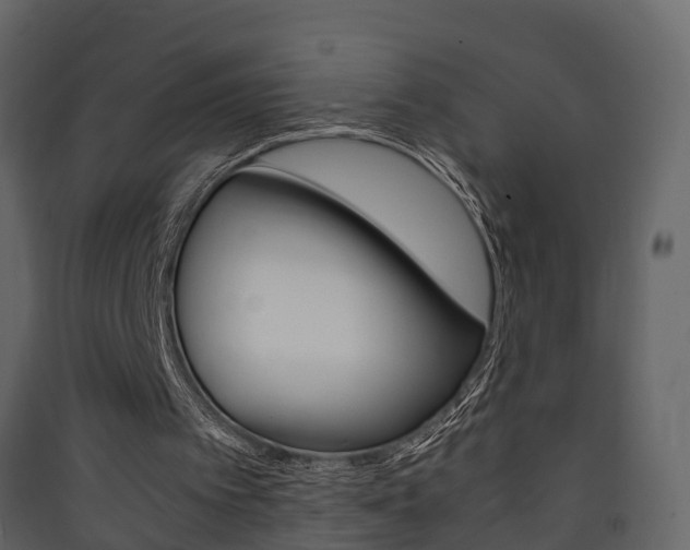 X0000090410097200707130933
