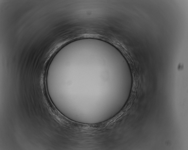 X0000090410098200707130933
