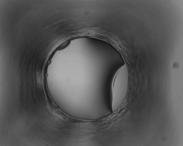 X0000090410100200707130933