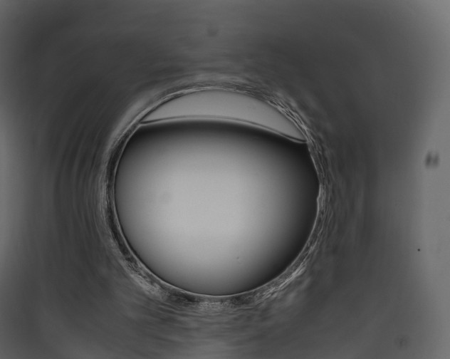 X0000090410101200707130933