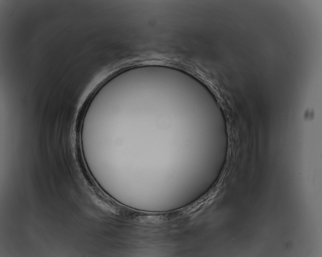 X0000090410102200707130933
