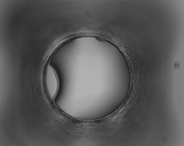 X0000090410103200707130933