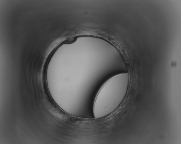 X0000090410104200707130933