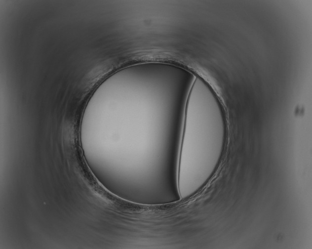 X0000090410105200707130933
