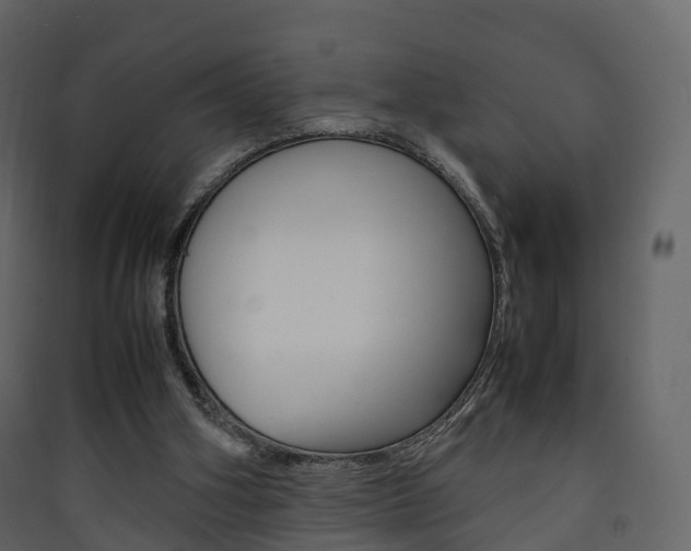 X0000090410106200707130933