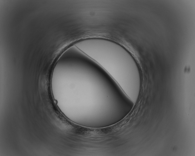 X0000090410107200707130933