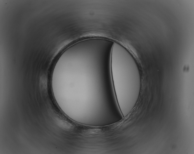 X0000090410108200707130933