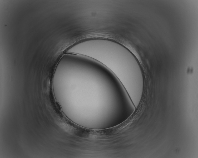 X0000090410109200707130933
