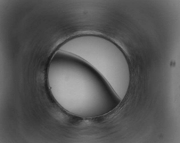 X0000090410111200707130933