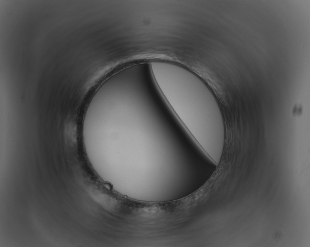 X0000090410112200707130933