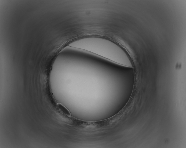 X0000090410113200707130933