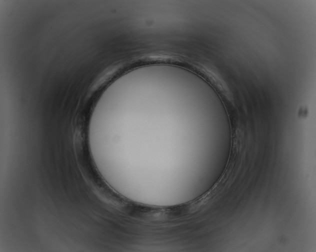 X0000090410116200707130933