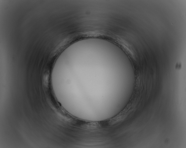 X0000090410118200707130933