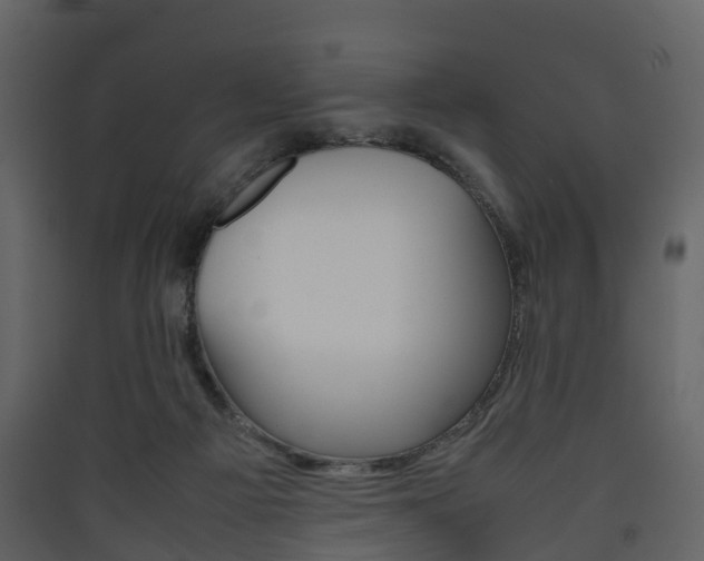 X0000090410121200707130933