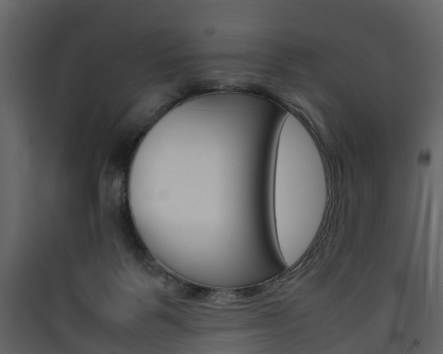 X0000090410123200707130933