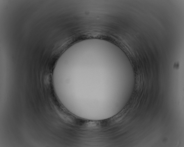 X0000090410126200707130933