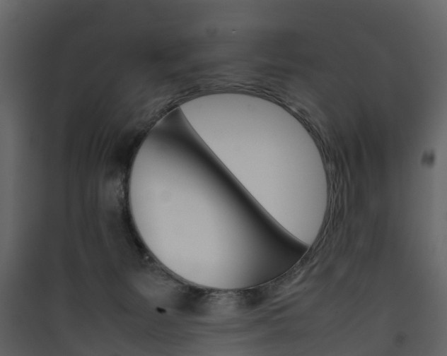 X0000090410127200707130933