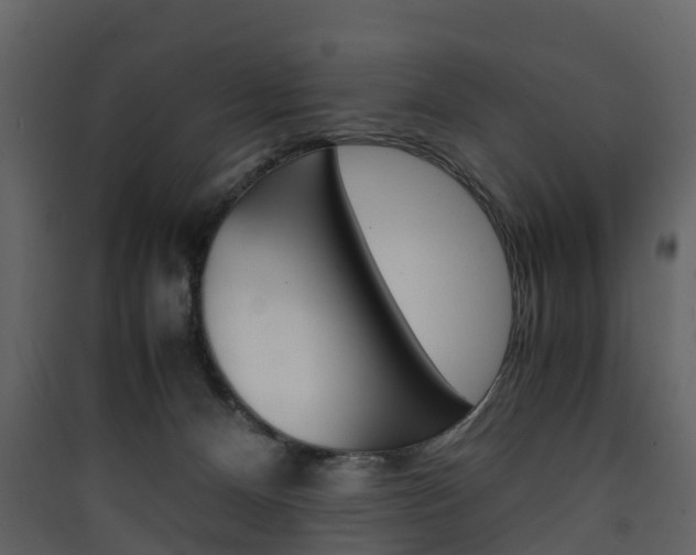X0000090410128200707130933