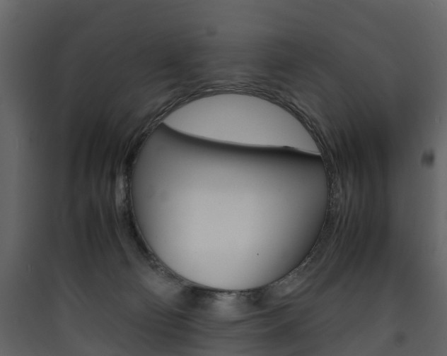 X0000090410130200707130933