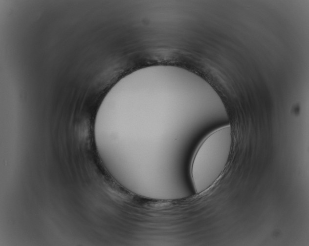 X0000090410132200707130933