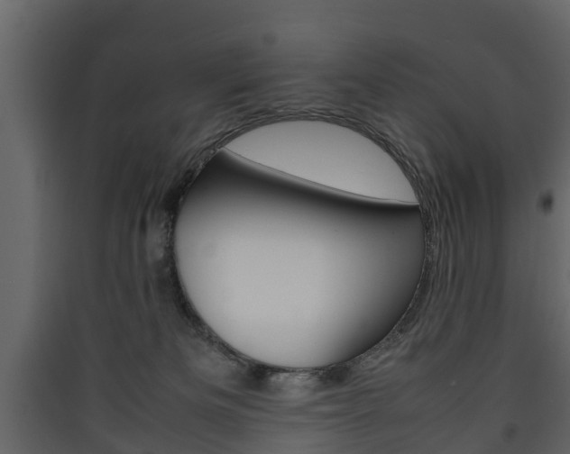 X0000090410133200707130933