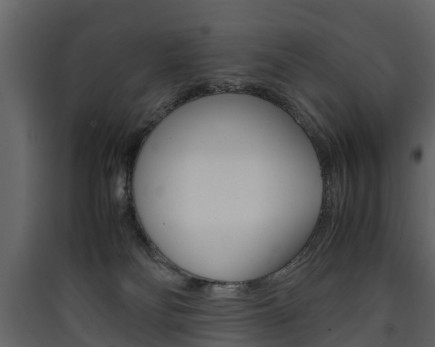 X0000090410134200707130933