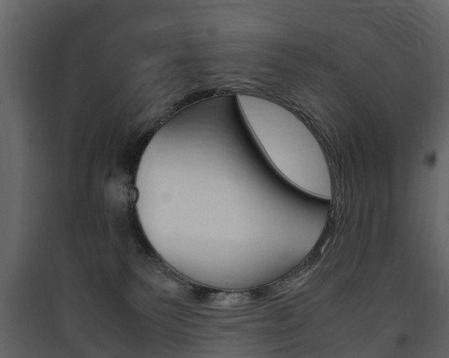 X0000090410135200707130933