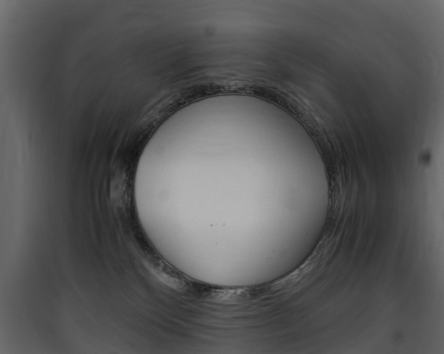 X0000090410136200707130933
