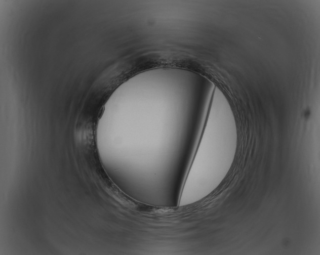 X0000090410137200707130933