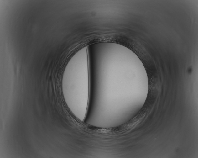 X0000090410139200707130933