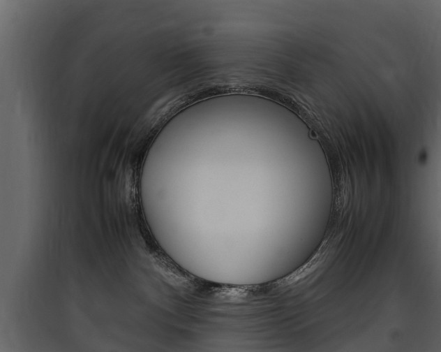 X0000090410140200707130933