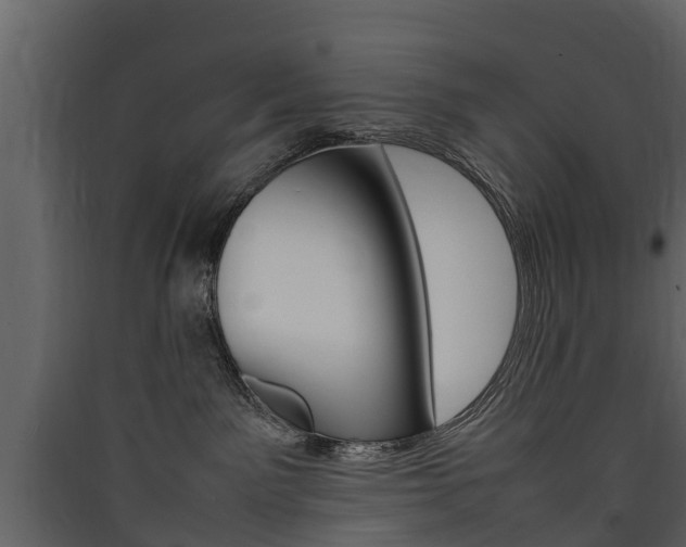X0000090410141200707130933