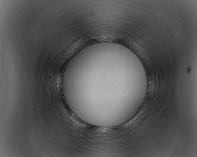 X0000090410142200707130933