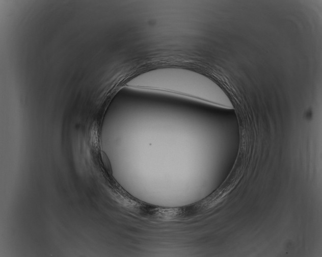 X0000090410143200707130933