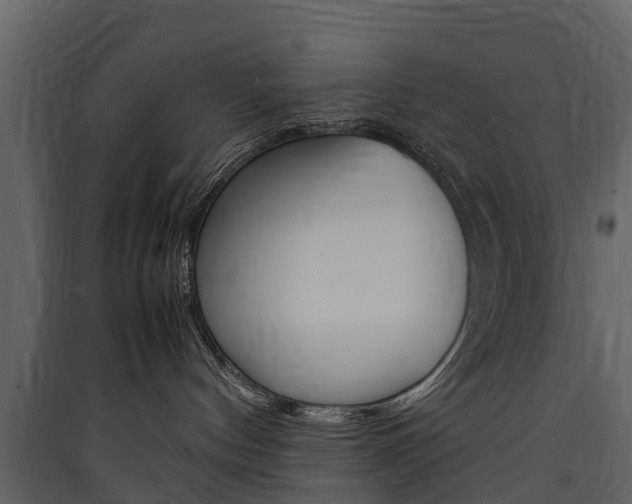 X0000090410144200707130933