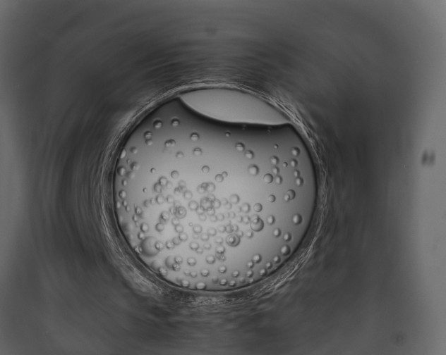 X0000090410145200707130932