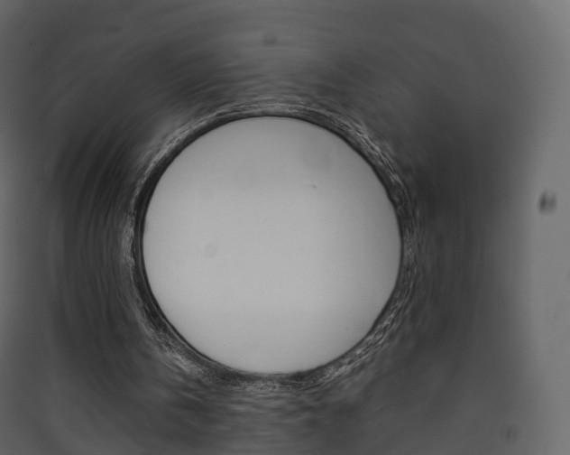 X0000090410146200707130932