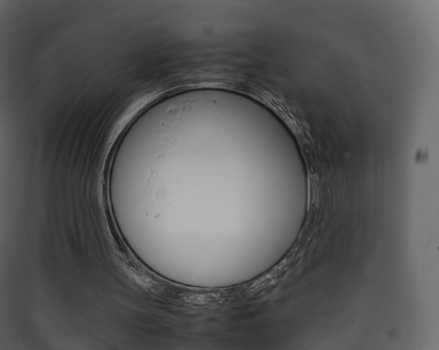 X0000090410147200707130932