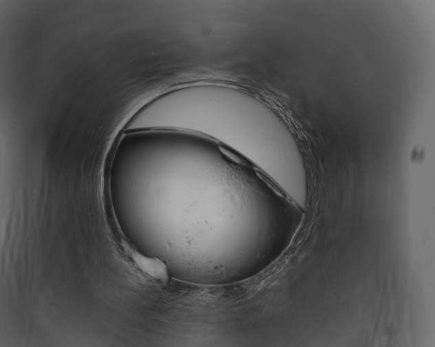 X0000090410148200707130932