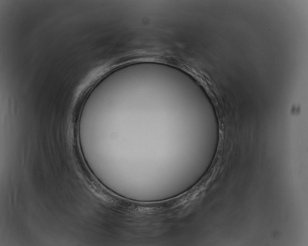 X0000090410149200707130932