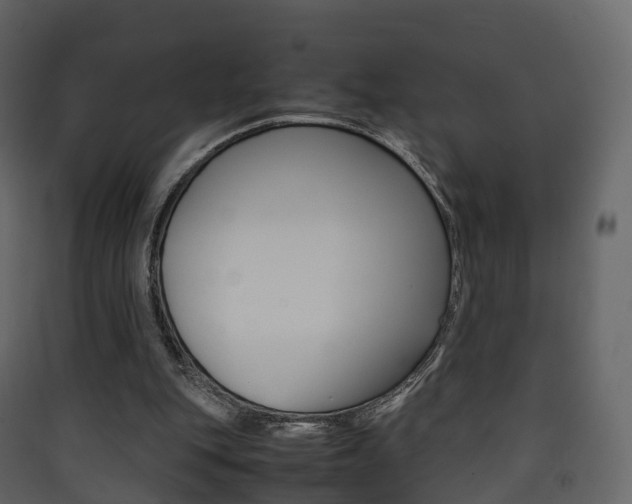 X0000090410151200707130932