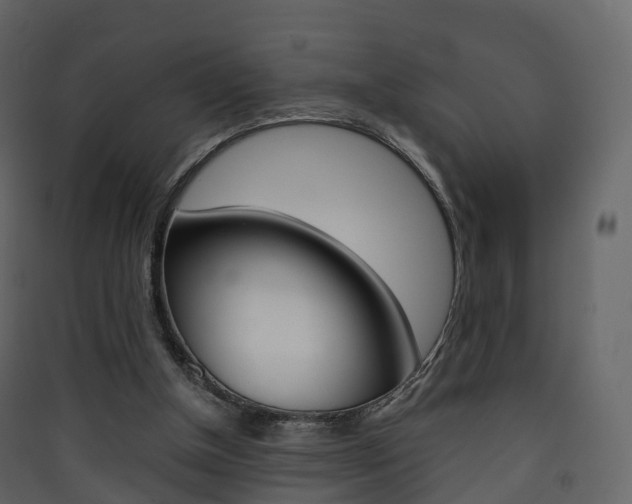 X0000090410154200707130932