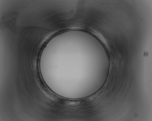 X0000090410155200707130932