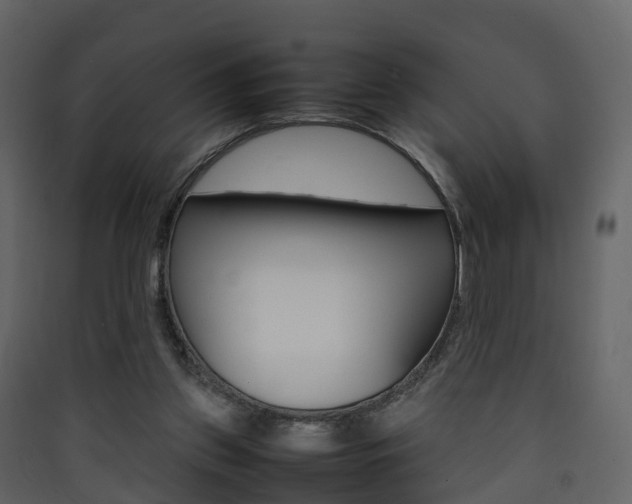 X0000090410157200707130932