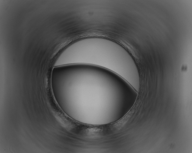 X0000090410158200707130932