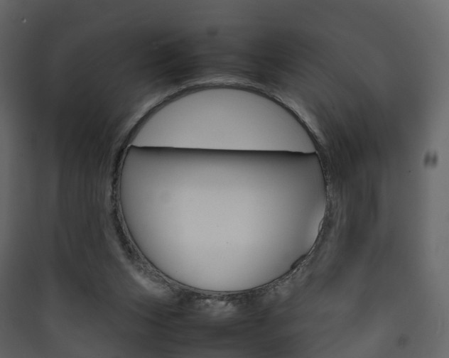 X0000090410159200707130932