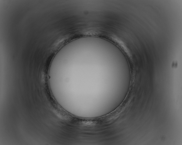 X0000090410161200707130932