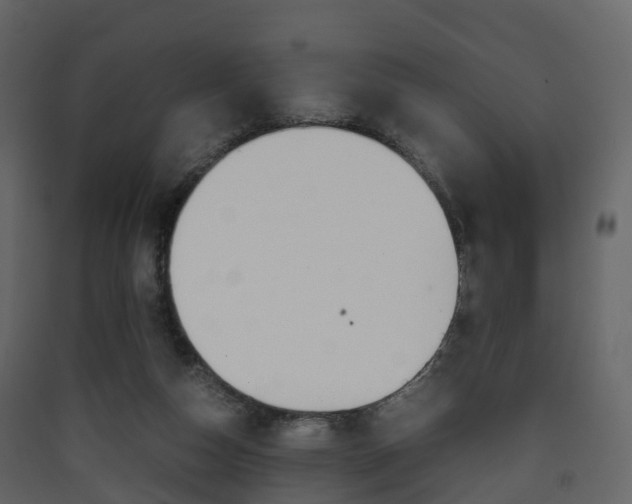 X0000090410162200707130932